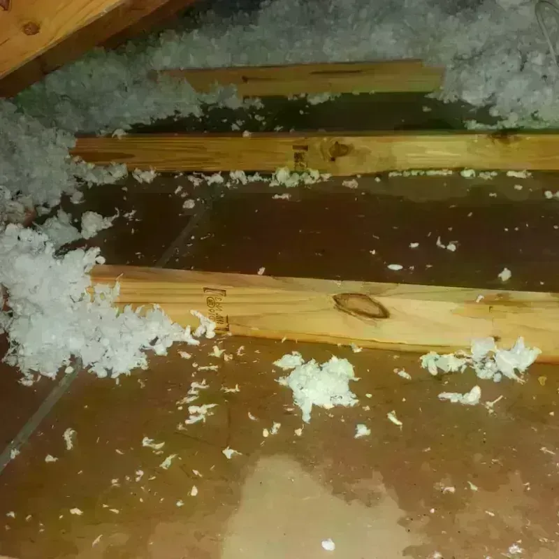 Attic Water Damage in Holmes County, FL