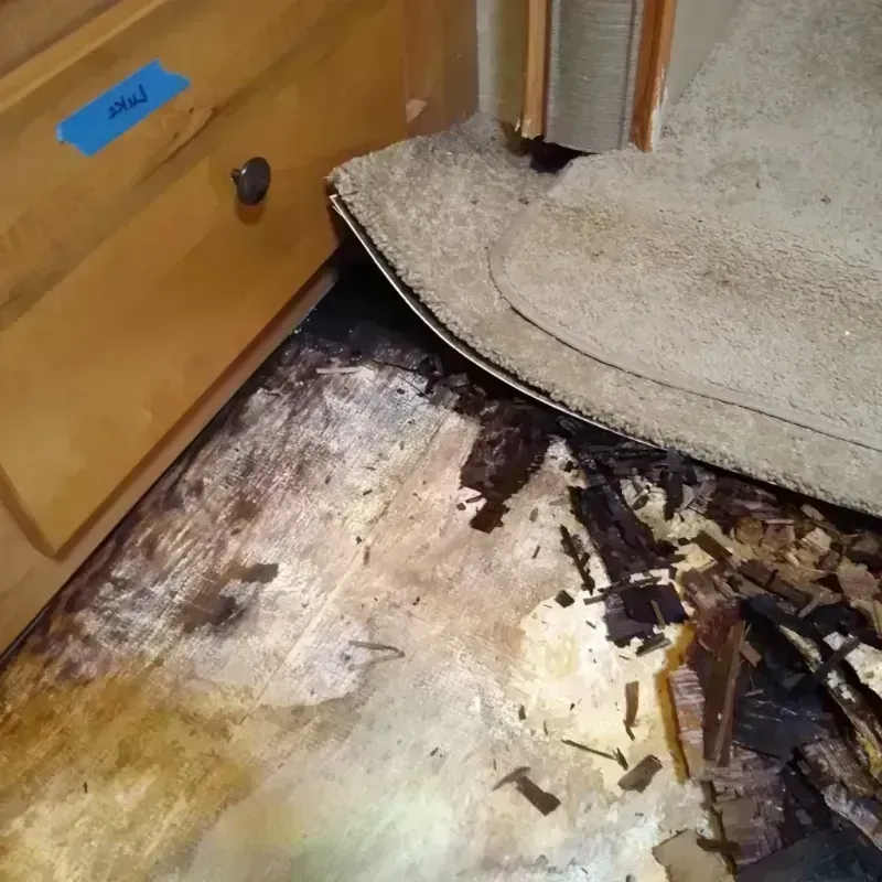 Wood Floor Water Damage in Holmes County, FL